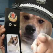 留着大电娶媳妇