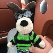 驾驶高手郑宇航