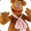 Not Now Fozzie