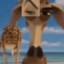 ✨💎🐪Mélmã🐪💎✨