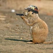 Destroyerhoernchen - steam id 76561197970977252