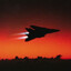 Tomcat
