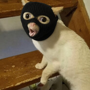 ktznsty