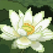 她与羽球皆成遗憾