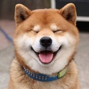 听说你很能打？