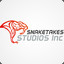 Snaketakes Studios