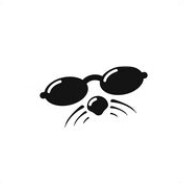 shmoo - steam id 76561197970959555
