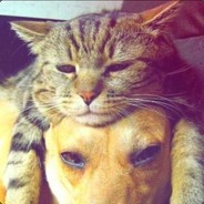 只是此心拖泥带水