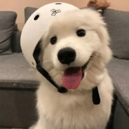 Big Avatar