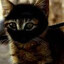 NinjaCat