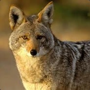 K-WILLI - steam id 76561197961860127