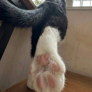 douca | wikiFeet