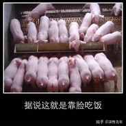 颜值担当你懂吗