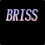 \Briss/