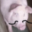 Disguised Pork