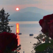 她与残局皆遗憾