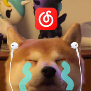 泪水打湿麦当劳