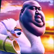 15,99