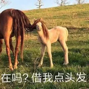 聪明绝顶小狼君