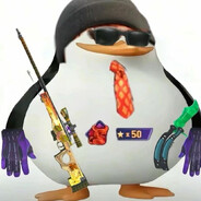 阿拉斯加第一步枪手