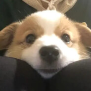 吃菌子中毒给老头把出喜脉后被家属一拳干晕