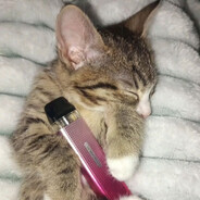 catbrained larper