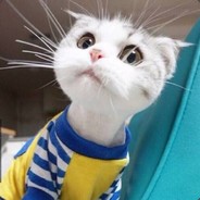 清烟贼秀好么丶