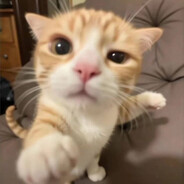 ilya rs q8 - steam id 76561198170821586