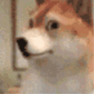 阿狐不会翻跟斗