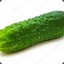 ОГУРЕЦ
