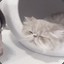 父亲