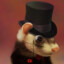 Mr Ferret
