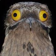 ▀▄▀▄ START ▀▄▀▄