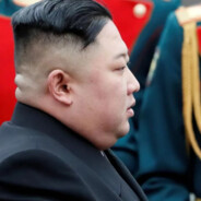 不吃紫蛋（将军恩情版