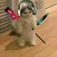 Skibidi chips ᵔᴗᵔ❤