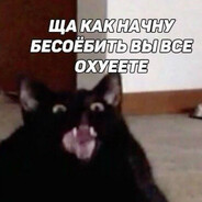 /кошачья жепа//