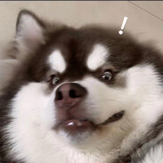 阳光开朗大男孩