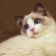 皮卡皮卡喵喵丶