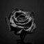 Black Rose