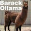 Barack Ollama