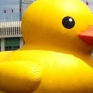 Rage DUCK DJ