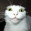 Tomry