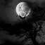mo0nlight