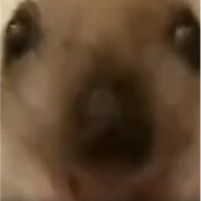 БОЯРЫШНИК ФОРТЭ