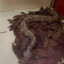 Gaboon Viper