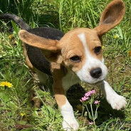 小比受益者联盟