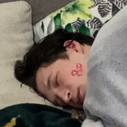 Iнспектор Кiт