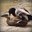 SoMuchDuck