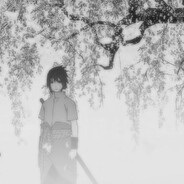 XaweR - steam id 76561199248280033