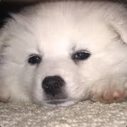 SleepyFace